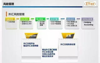 集团资金管理价值趋势分析及系统选型考量